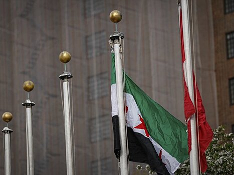 Сирия будет сотрудничать с западной коалицией по борьбе с ИГ