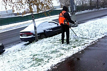 Москвичи удивились покосу травы в снег