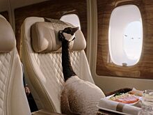 Глобальная рекламная кампания Эмирейтс – Fly Better с Gerry the Goose