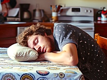 Учёные объяснили, почему после еды хочется спать