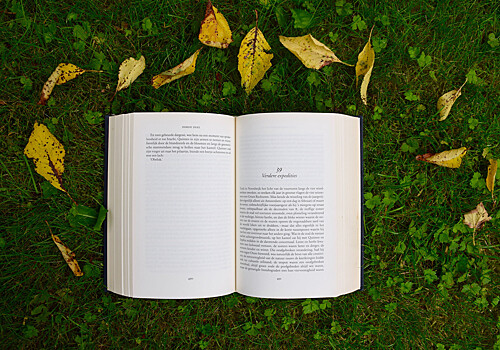 5 книг, которые скрасят неприветливую осень