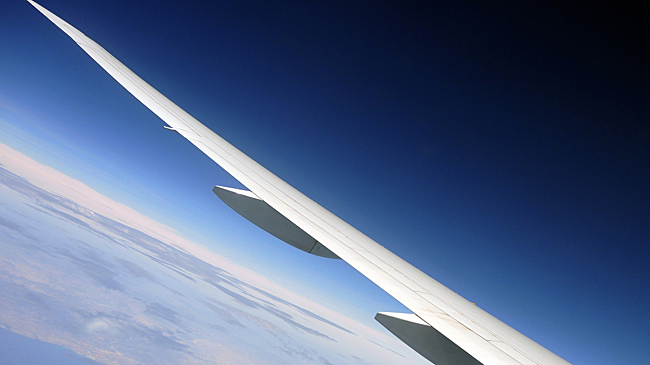 Летевший на Шри-Ланку самолет экстренно сел в Новосибирске