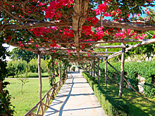 Капри: самое популярное направление этого лета