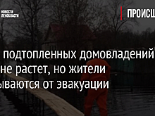Число подтопленных домовладений в Тихвине растет, но жители отказываются от эвакуации
