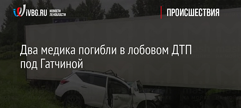Два медика погибли в лобовом ДТП под Гатчиной