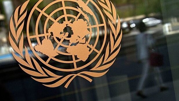 СМИ рассказали о содержании письма Турции в ООН