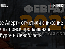 В «Лизе Алерт» отметили снижение заявок на поиск пропавших в Петербурге и Ленобласти