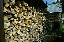 Как получить бесплатные дрова