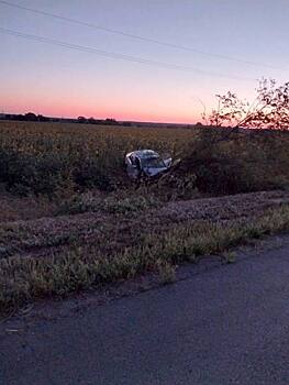 Пассажир погиб: на Дону иномарка слетела с дороги и снесла дерево