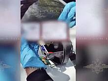 Лжесиловики угрожали отдыхающим россиянам уголовным делом и вымогали у них деньги