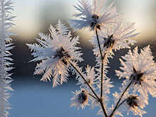 В ХМАО из-за сильных морозов отменили занятия в школах