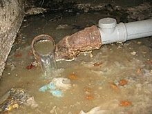 Сиротский дом в Кетово топит нечистотами