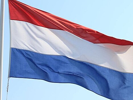 Две партии наркотиков на 16 млн евро были изъяты таможней Нидерландов