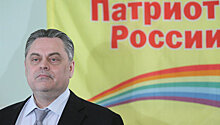 «Патриоты России» лидировали на местных выборах среди непарламентских партий