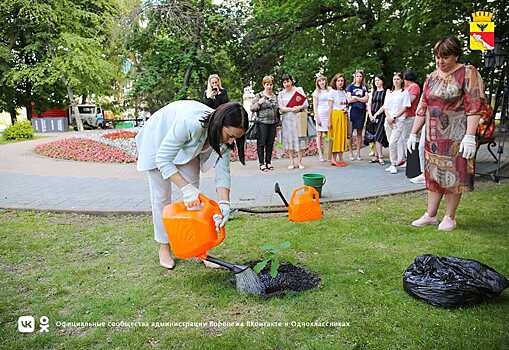 В Воронеже высадили петровские дубы