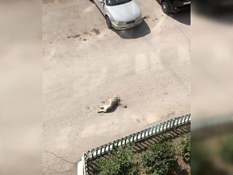 «Там малолетние дети играют»: жители города в Башкирии напуганы потоком машин во дворе