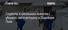 Студенты и школьники помогли с уборкой снега ветерану в Лодейном Поле