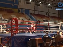 В Пензе проходит первенство области по боксу среди юношей и девушек