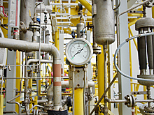 Власти Чехии рассказали об ограниченных запасах газа в стране