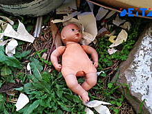 В Минздраве предложили приравнять аборты к расчлененке и передать в ведение ФСИН