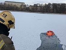 Пожарные спасли закованную во льдах утку в парке «Сокольники»