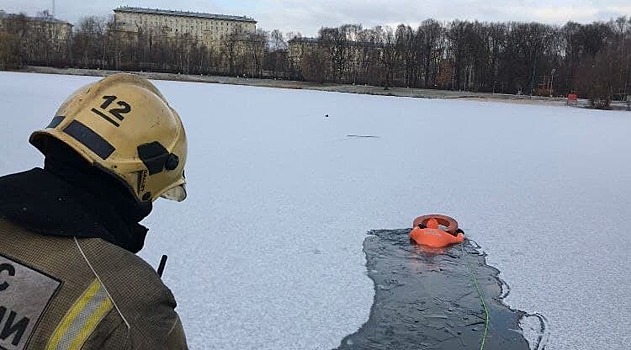 Пожарные спасли закованную во льдах утку в парке «Сокольники»