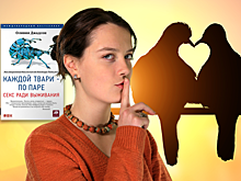 5 минут о битве полов