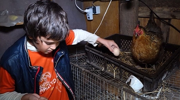 10-летний фермер из Калининграда помог родителям накопить на ипотеку