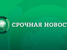 Российские депутаты решили привезти сирийцам тренажеры и кондиционеры