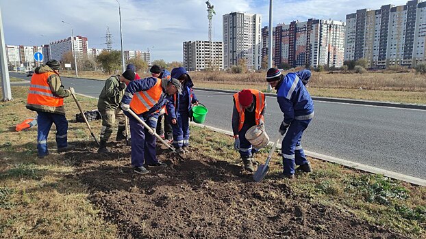 В Оренбурге на улице Рокоссовского сажают тюльпаны