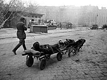 Собачья верность спасала из-под пуль