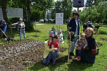 В Марьиной Роще в День защиты детей посадили 13 деревьев вишни