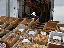 В Роскачестве рассказали, в каких продуктах содержится омега-3