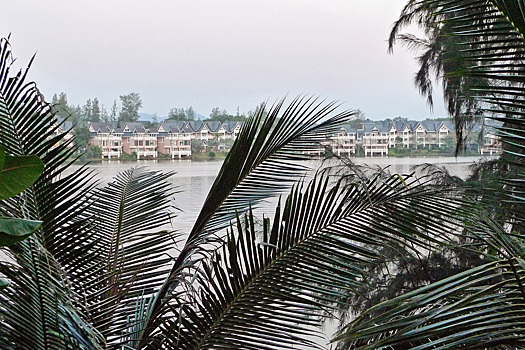 Россиянина, ставшего свидетелем преступления, жестоко убили в азиатской стране