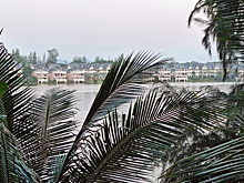 Россиянина, ставшего свидетелем преступления, жестоко убили в азиатской стране