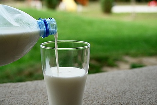 Производители молочной продукции из Бранденбурга могут поделиться опытом с Подмосковьем
