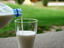 На фестивале «Молочная пойма» в Луховицах в субботу раздадут более тысячи литров молока