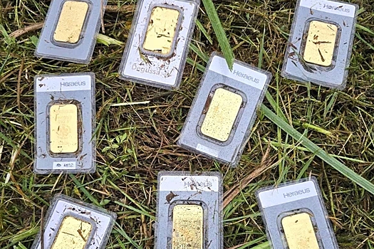 Мужчина, косивший траву, нашел в ней клад