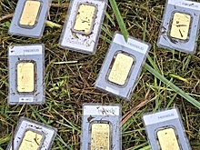 Мужчина, косивший траву, нашел в ней клад