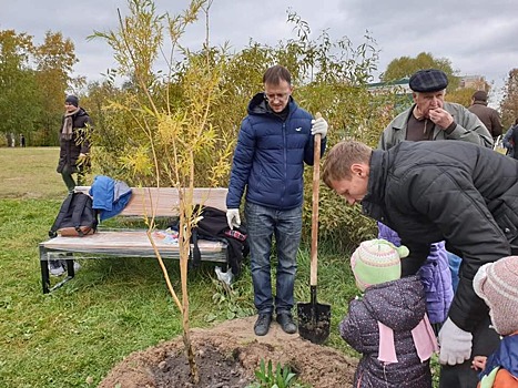 Вандалы на «культурном районе»: почему нижегородцы разрушают новые места отдыха