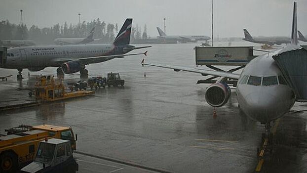 В аэропортах Москвы задержаны 27 рейсов, 3 отменены