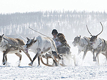 В Якутии отметят присоединение Крыма хороводами и оленьими скачками