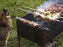 Все на шашлыки: лучшие мемы о майских праздниках