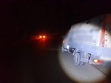 В Кизнерском районе Удмуртии водитель «Газели» насмерть сбил ребёнка на трассе