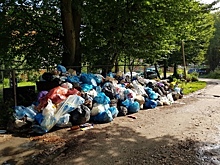 В Балтийске неделю не вывозят мусор