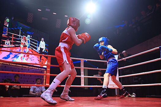 Более 20 спортсменов приняли участие в соревнованиях на Кубок главы Дзержинска по боксу