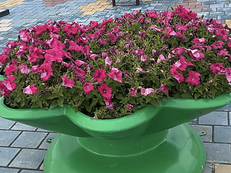 Сотни цветов «включили» лето в Салехарде