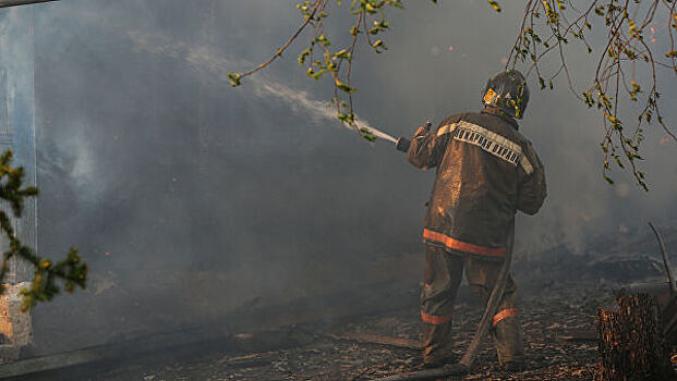 В МЧС назвали основные причины лесных пожаров в России в 2019 году