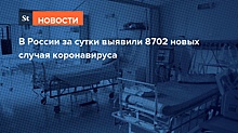 В России за сутки выявили 8702 новых случая коронавируса