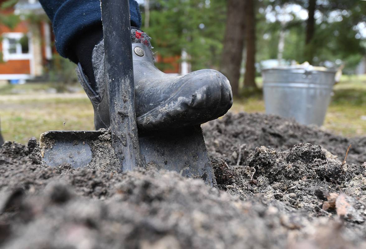 Для дачников развеян главный миф о перекопке почвы